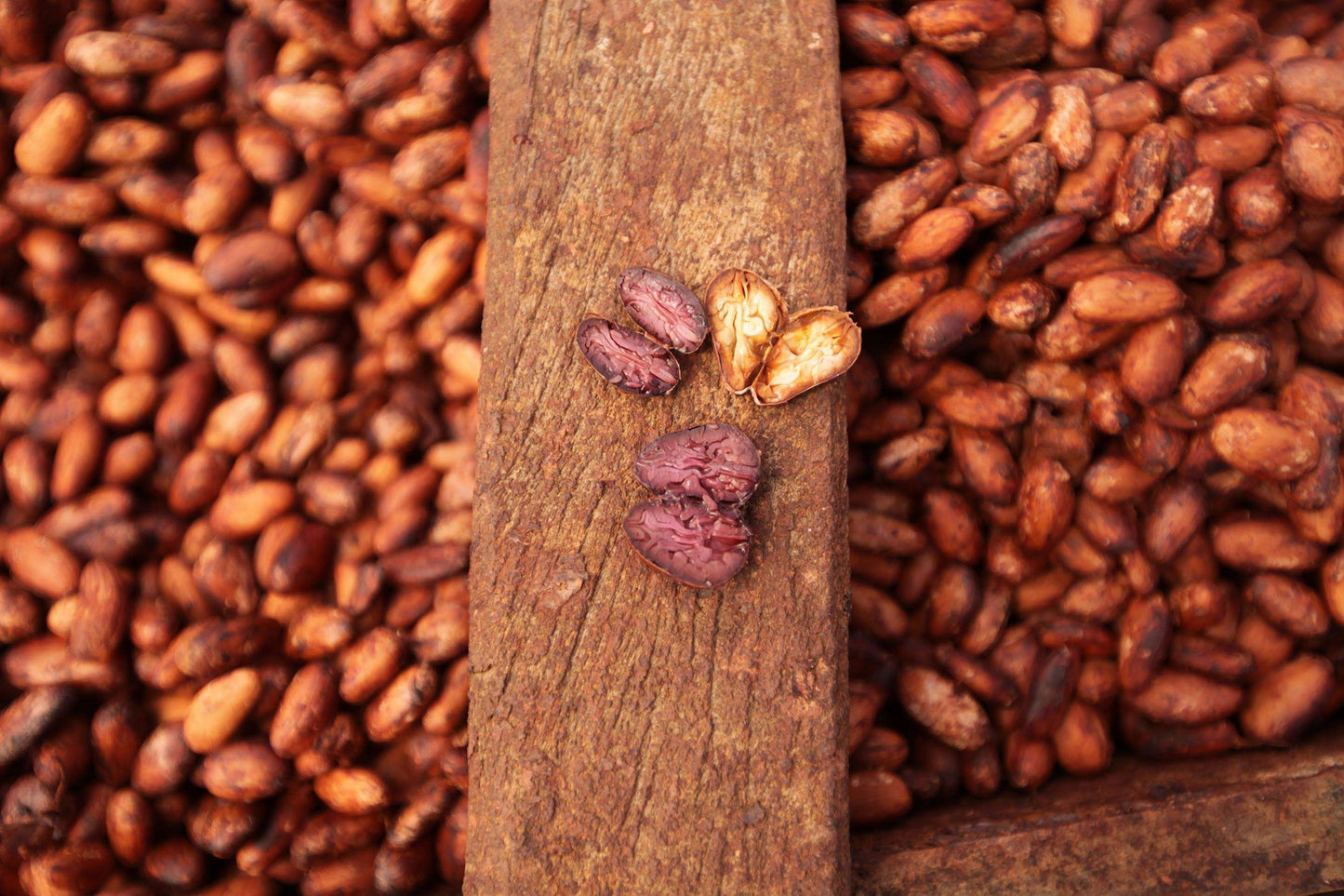 Roasted Cacao Nibs