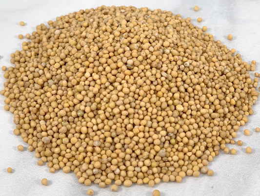 Yellow Mustard Seed, Whole