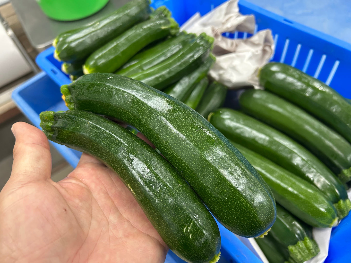 Young Zucchini | Suzuki Farm | 2-3 pc