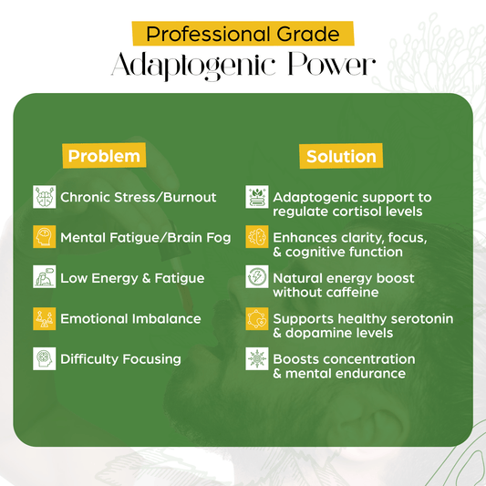 Rhodiola Rosea Tincture – Natural Stress & Energy Support (2 oz)