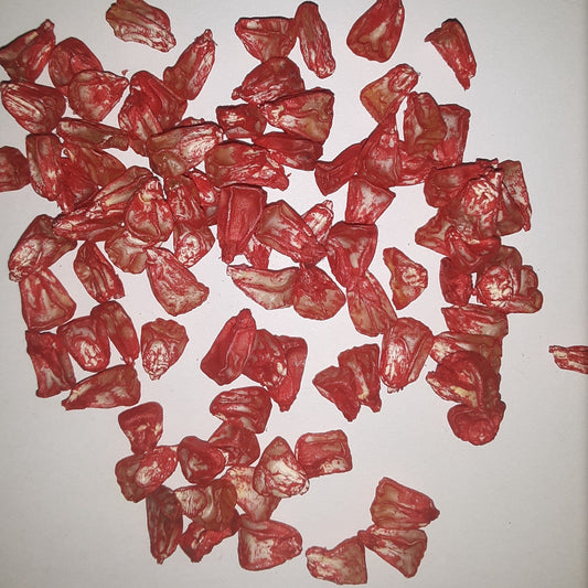 Incredible Yellow Sweet Corn Treated Seeds