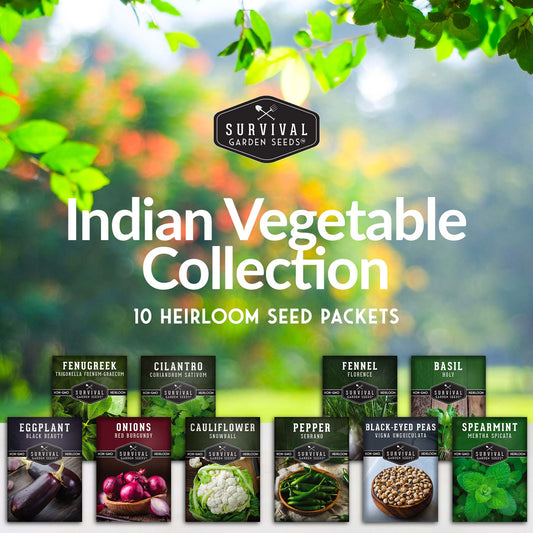 Indian Vegetable Collection - Basil, Cauliflower, Cilantro, Cowpeas, Eggplant, Fennel, Fenugreek, Onion, Pepper, Spearmint