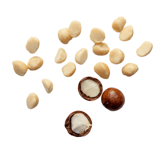 Island Harvest - Organic Macadamias with Sea Salt