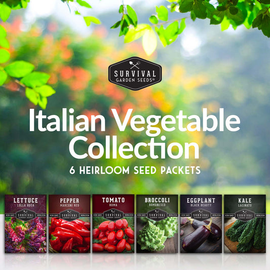 Italian Collection - Romanesco Broccoli, Black Beauty Eggplant, Lacinato Kale, Lolla Rossa Lettuce, Marconi Red Pepper, Roma Tomato
