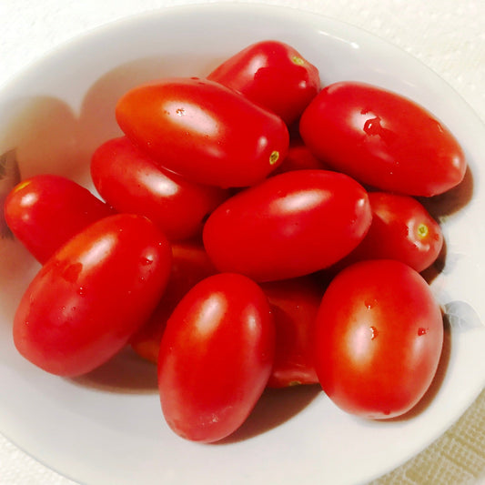 Juliet Treated Hybrid Paste Tomato Seeds