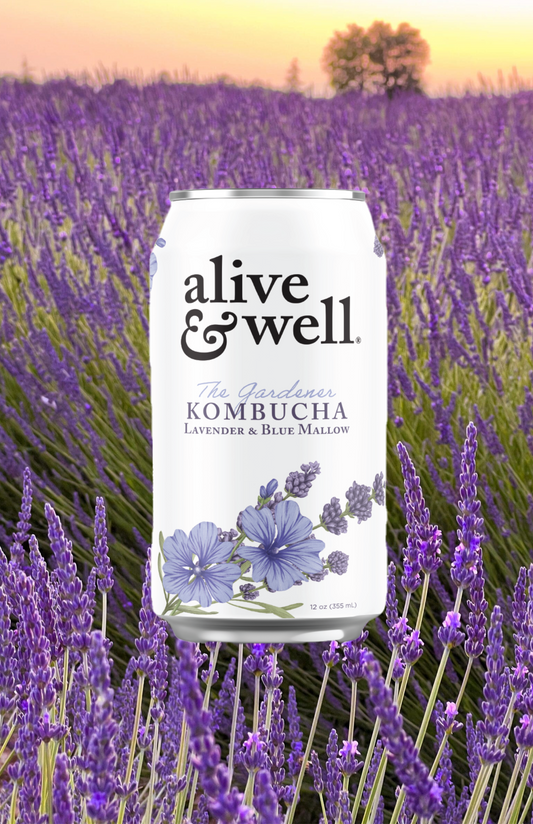 Alive & Well Lavender & Blue Mallow Kombucha