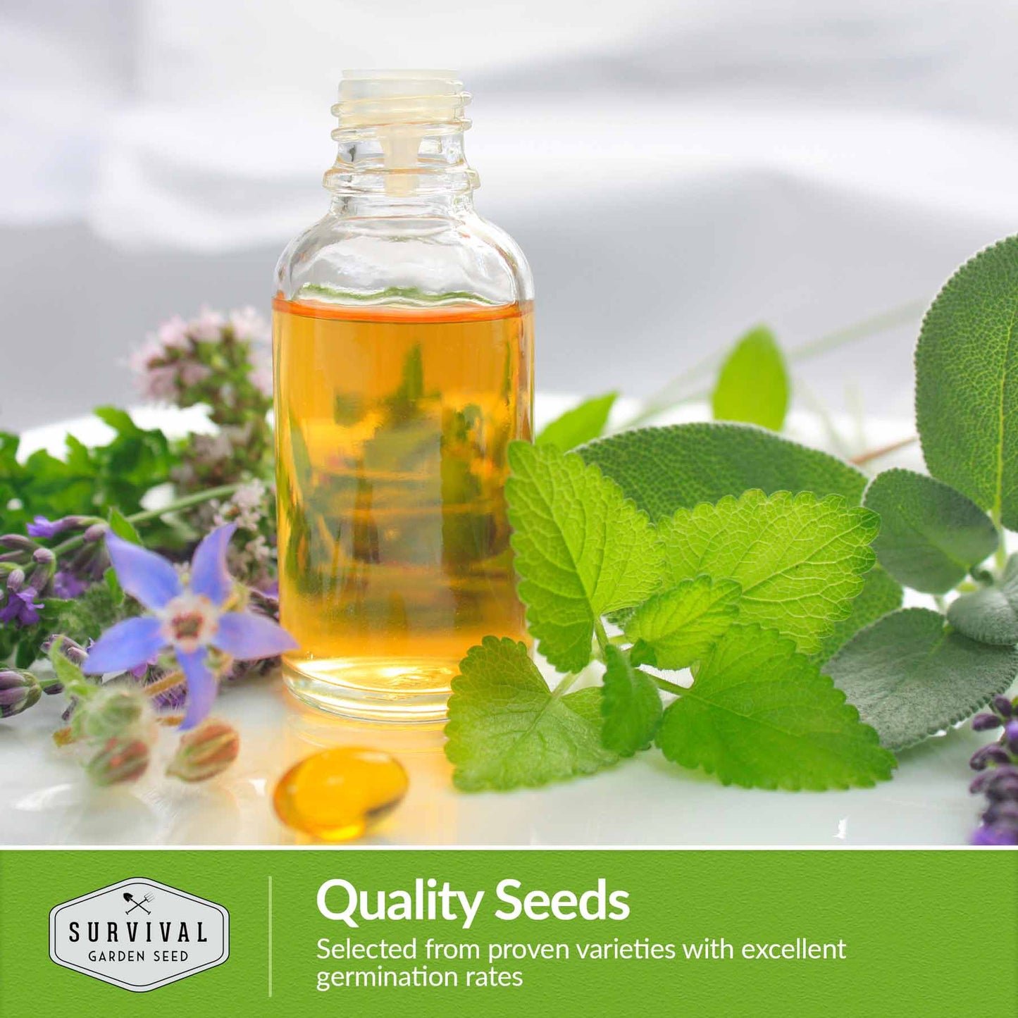 Medicinal Herb Collection - 18 Medicinal Herbs