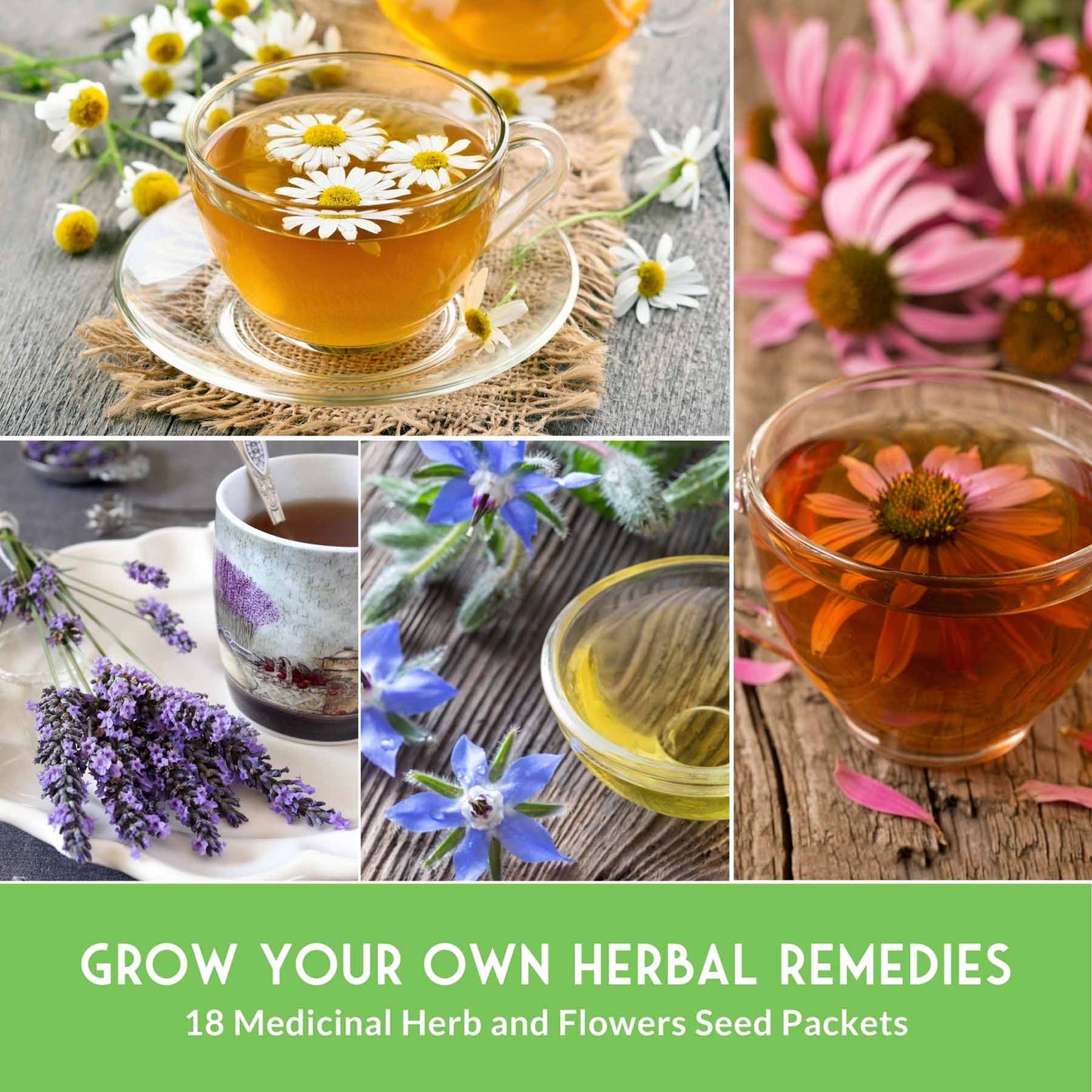 Medicinal Herb Collection - 18 Medicinal Herbs