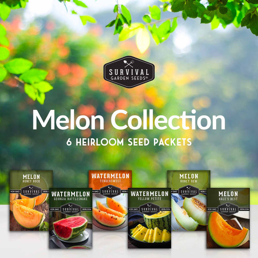 Melon Seed Collection - 6 Melons and Cantaloupes