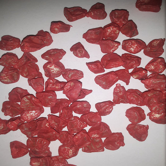 NK 199 Treated Sweet Corn Seed