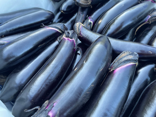 NASU Eggplant | Suzuki Farm | 3 pc "+ 2 pc EXTRA!"