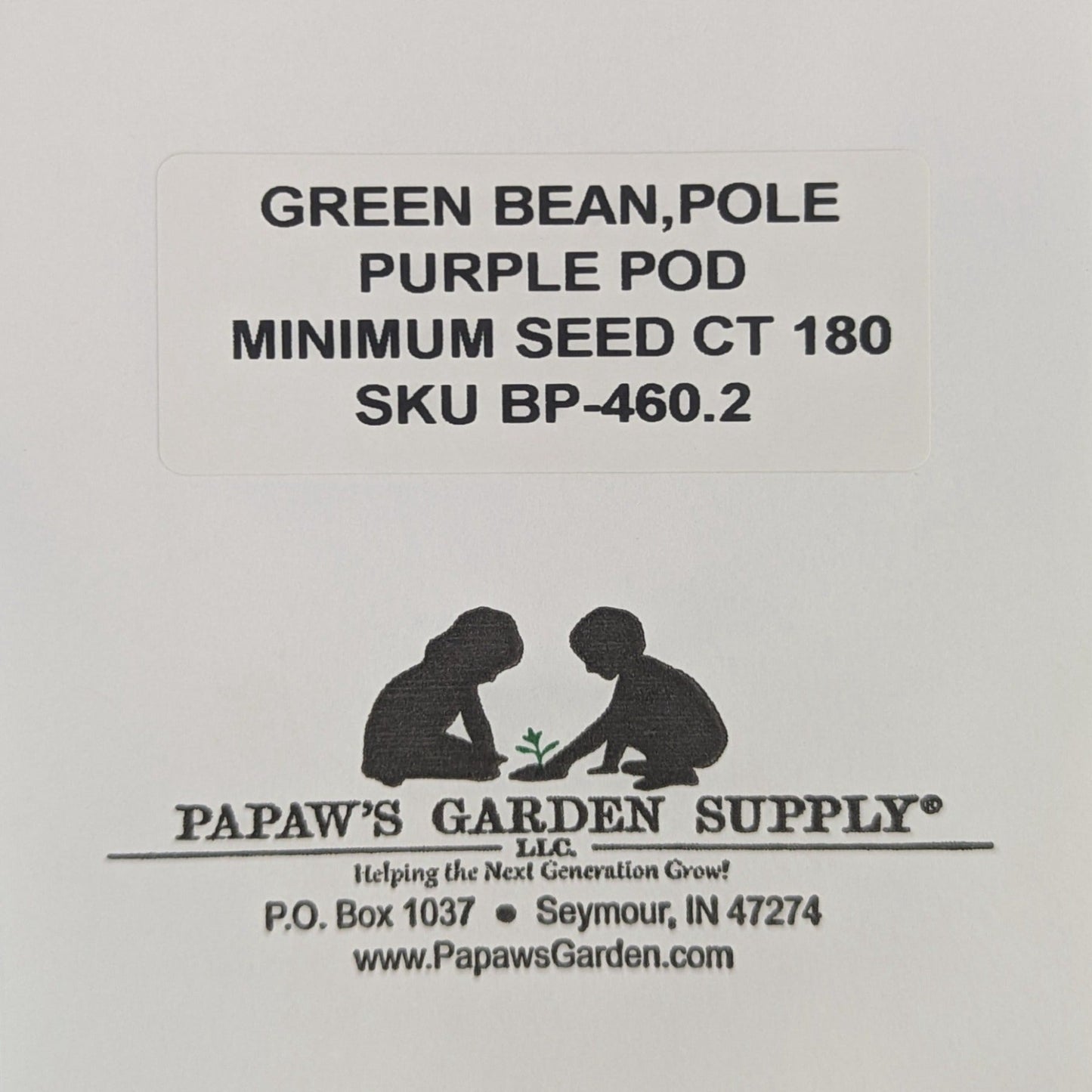 Purple pod Heirloom Pole Bean Seeds
