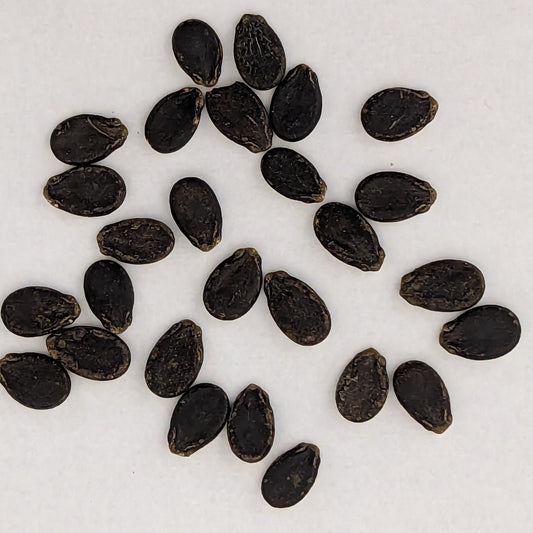 Yellow Gem Sweet Watermelon Seeds