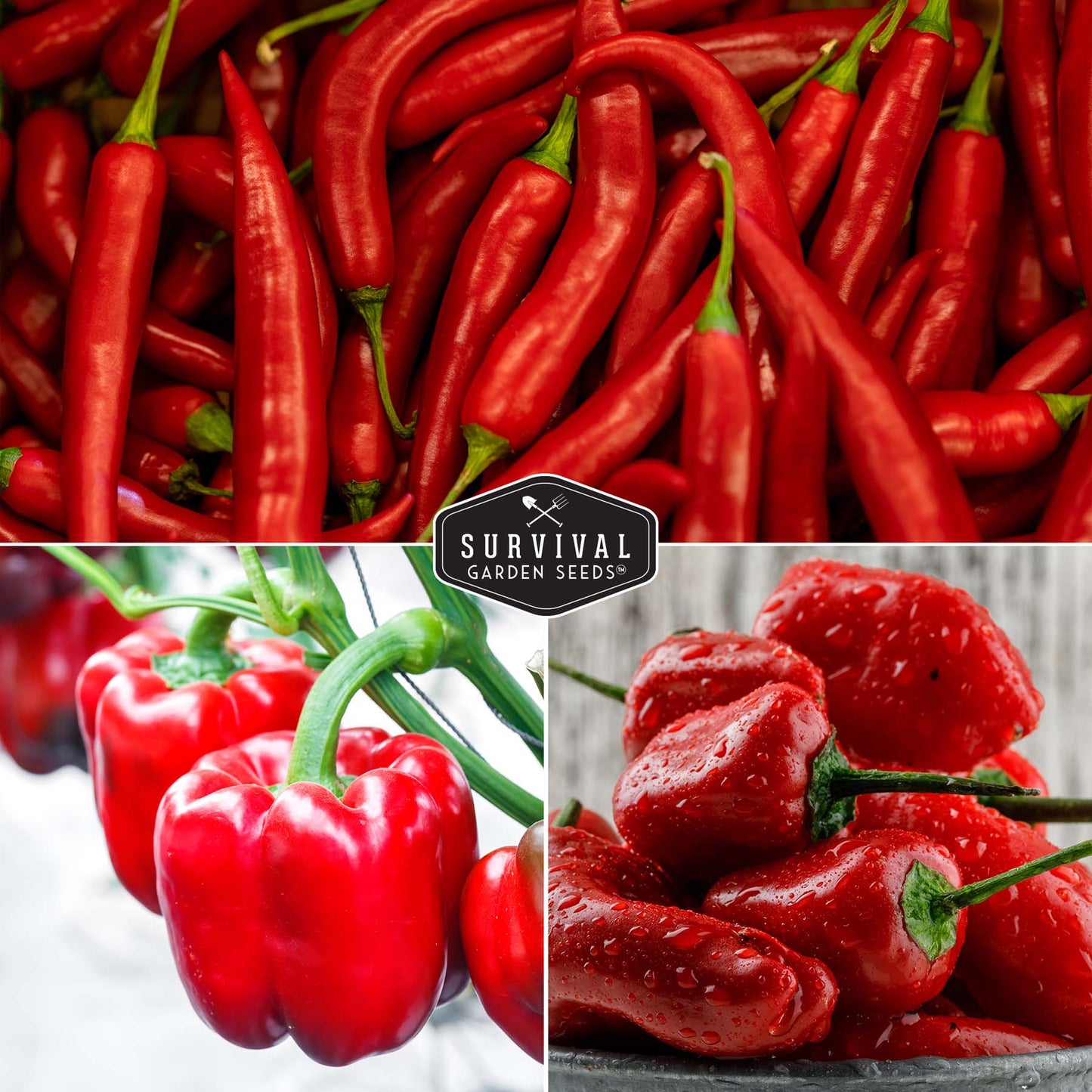 8 Peppers Seed Collection - Sweet & Hot Peppers