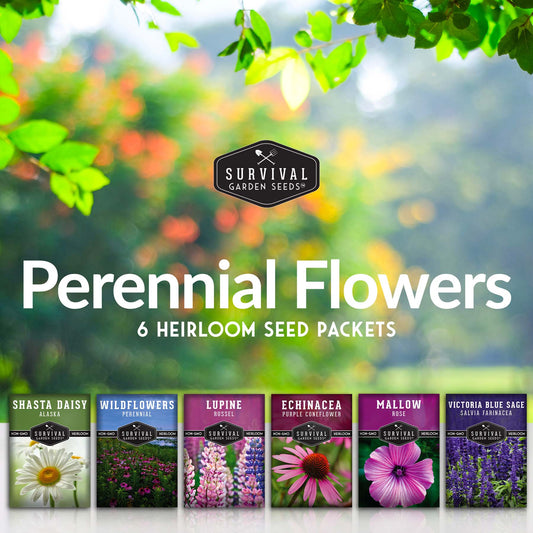 Perennial Flower Seed Collection – Non-GMO Heirloom Blooms for Pollinator Gardens, Borders & Year-Round Color