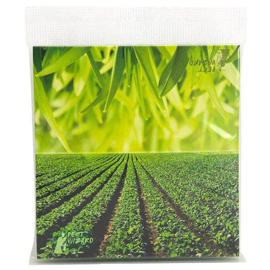 Pest Wizard BUGS in the PANTRY? 2-Pack Cool Green