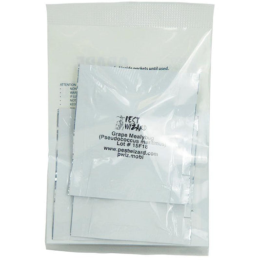 Pest Wizard Grape Mealybug Lure 3-Pack