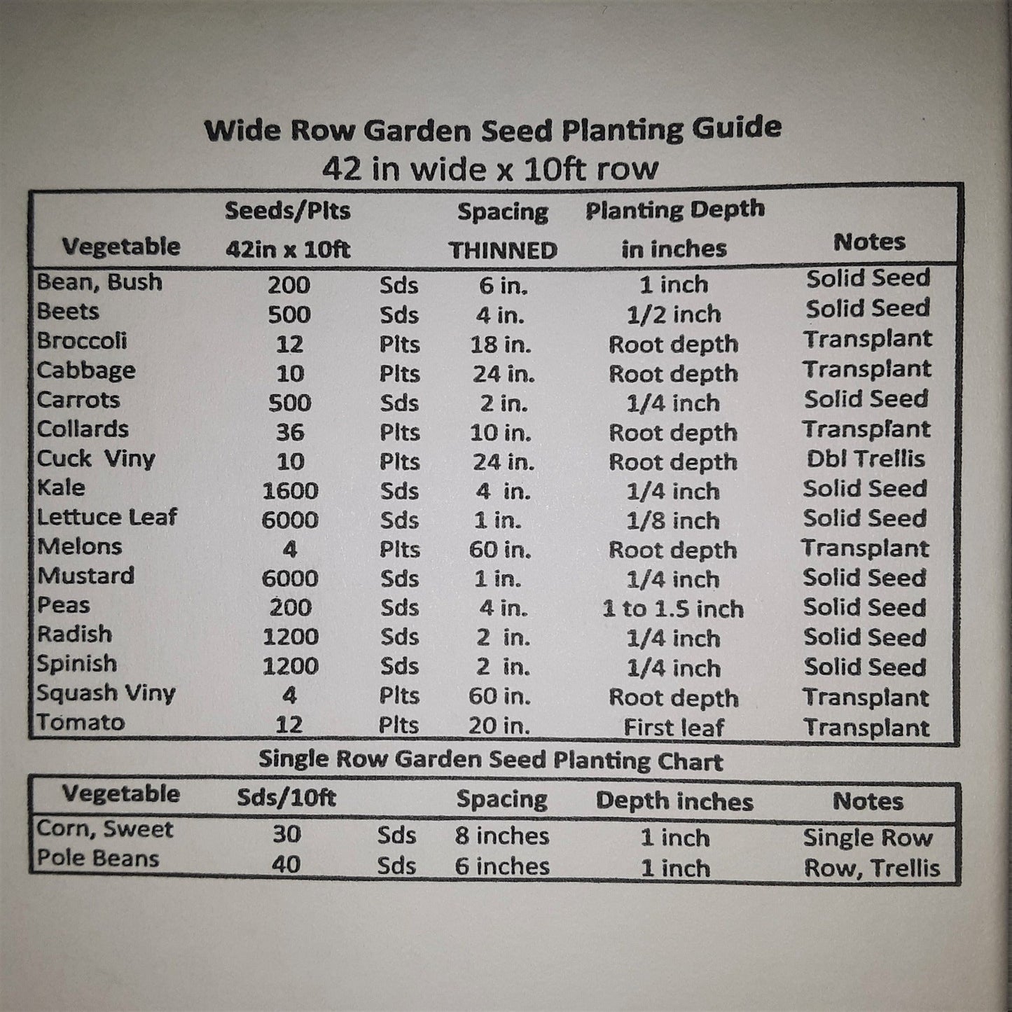 Mountain Half Runner Heirloom Green Bean Seeds