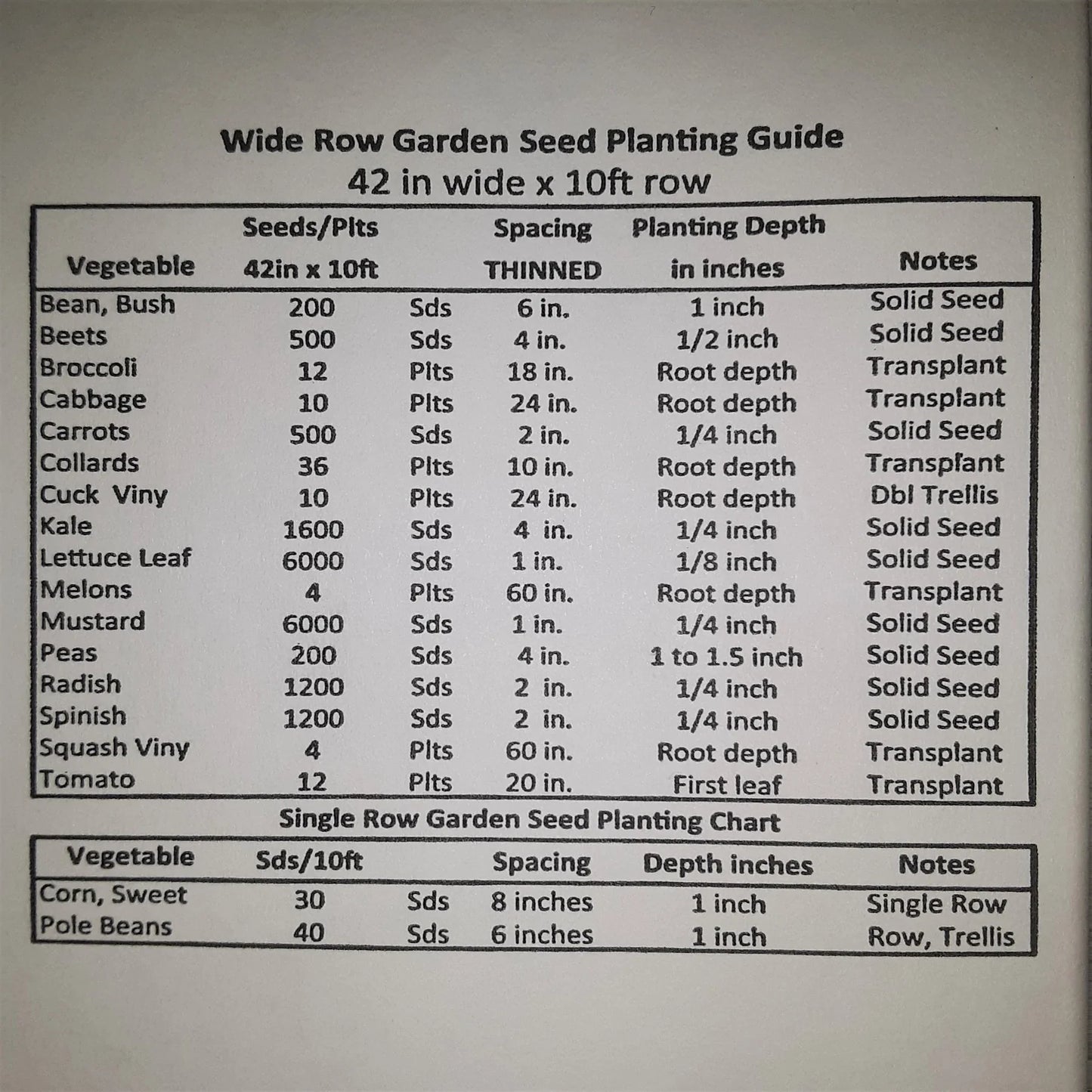 Yellow Gem Sweet Watermelon Seeds