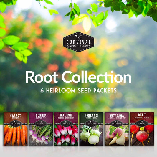Root Vegetable Seed Collection - Cool Weather Favorites