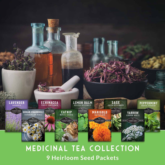 Medicinal Tea Herb Seeds Collection – 9 Heirloom Non-GMO Herbs for Calming Teas, Wellness & Home Apothecary Gardens (Chamomile, Lavender, Peppermint, Sage & More)