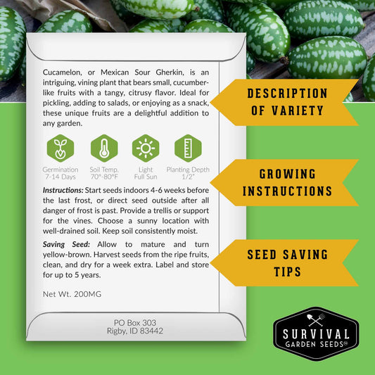 8 Fruit Seed Collection - Strawberry, Cucamelon, Melon, Watermelon Pack