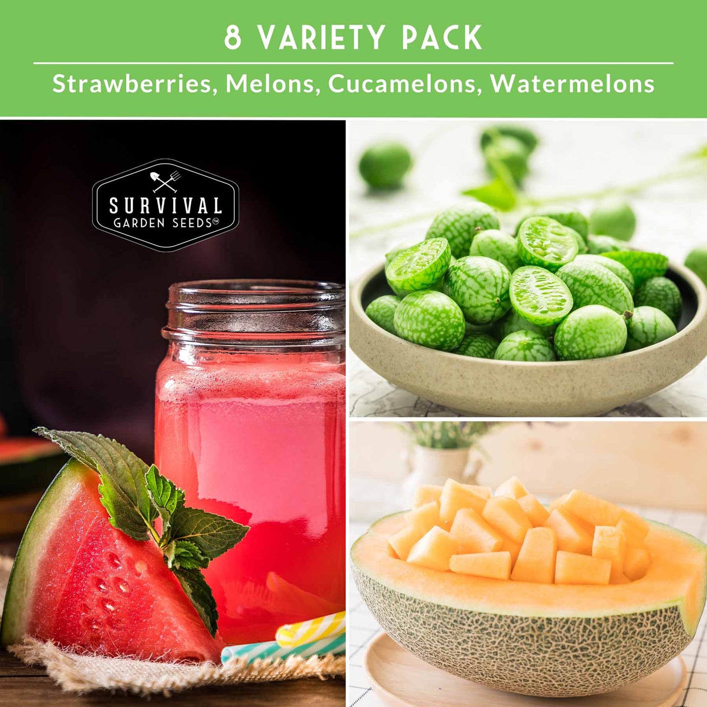 8 Fruit Seed Collection - Strawberry, Cucamelon, Melon, Watermelon Pack