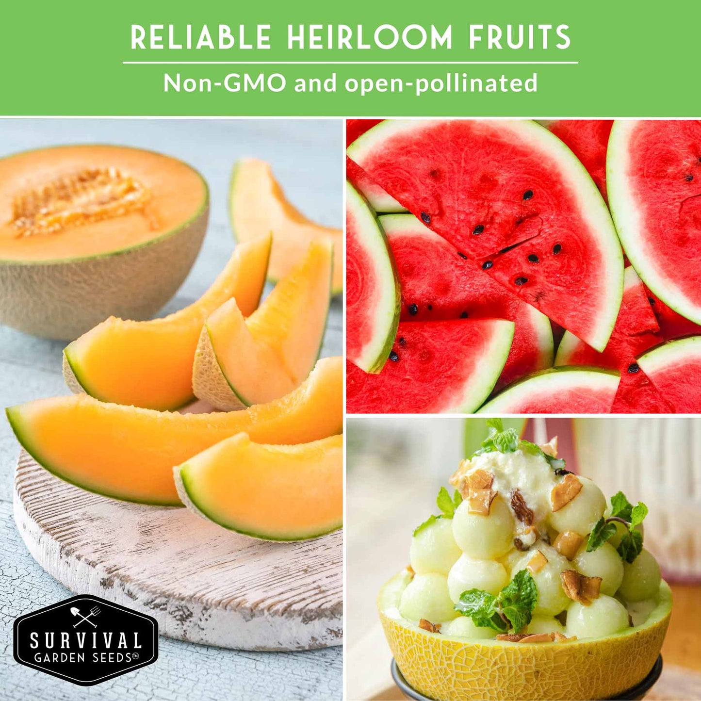 8 Fruit Seed Collection - Strawberry, Cucamelon, Melon, Watermelon Pack