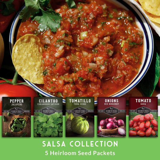 Salsa Ingredients Seed Collection