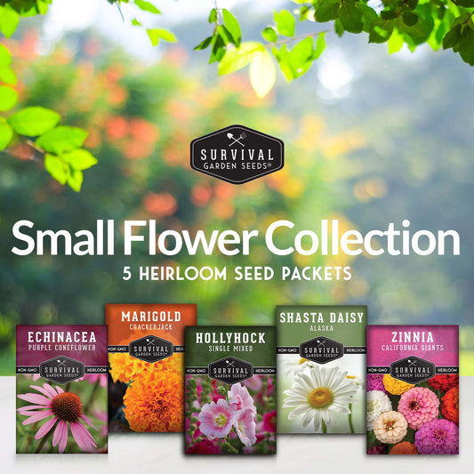 5 Flower Seed Collection - Hollyhock, Shasta Daisy, Coneflower (Echinacea), Marigold, Zinnia