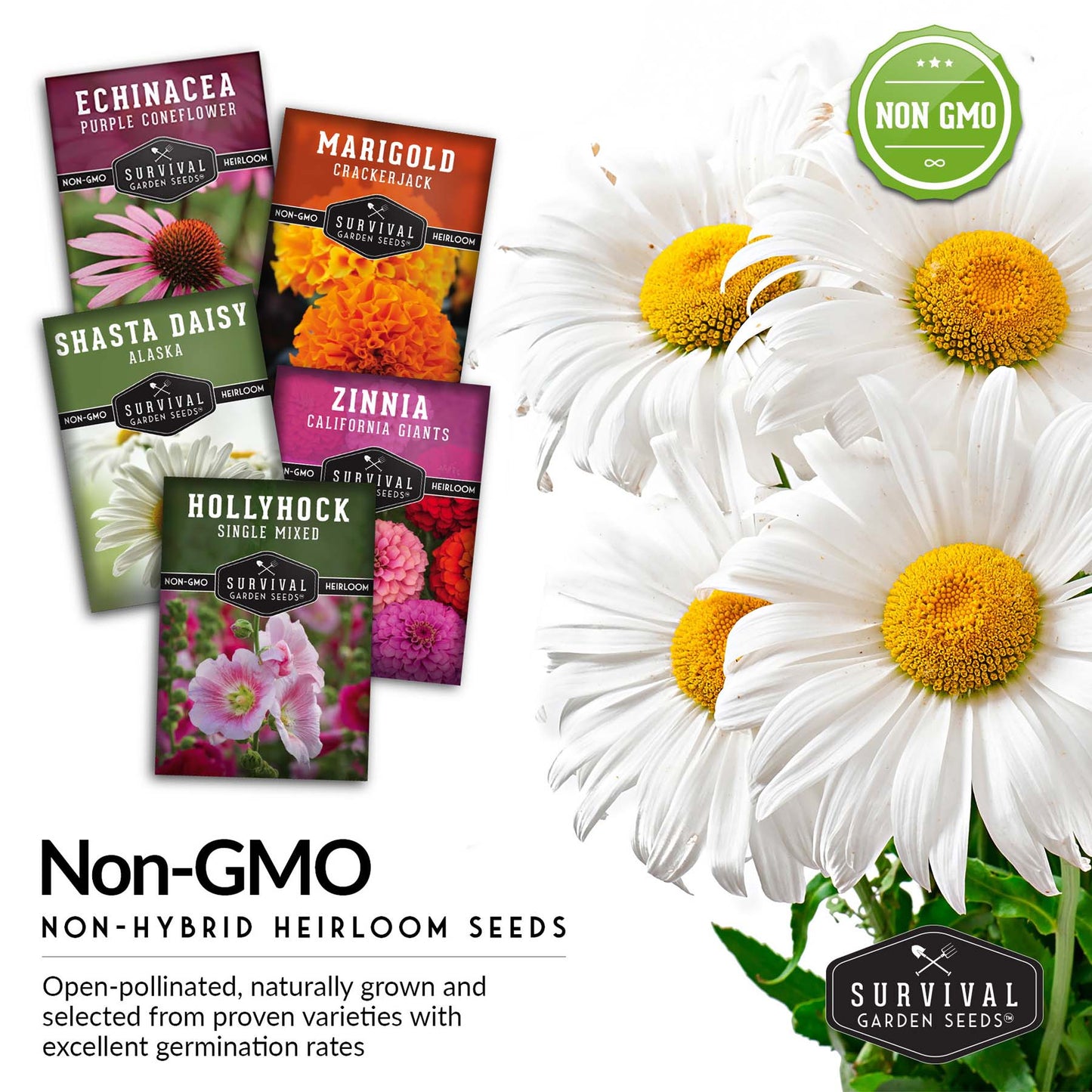 5 Flower Seed Collection - Hollyhock, Shasta Daisy, Coneflower (Echinacea), Marigold, Zinnia