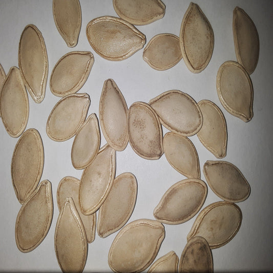 Small Sugar Heirloom Pumpkin Seeds
