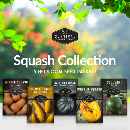 Squash Seed Collection - Winter & Summer Squash
