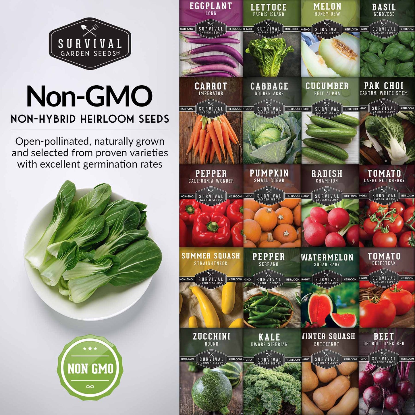 Starter Kit Seed Vault - 20 Delicious Varieties of Vegetables