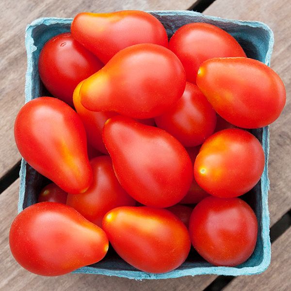 Red Pear Tomato by MIgardener