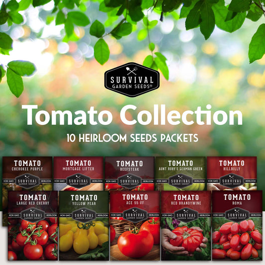10 Tomato Seed Collection - A Rainbow of Heirloom Tomato Varieties