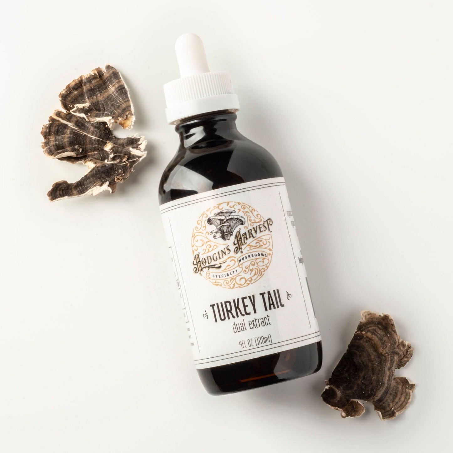 Turkey Tail Dual Extract Tincture by Hodgins Harvest