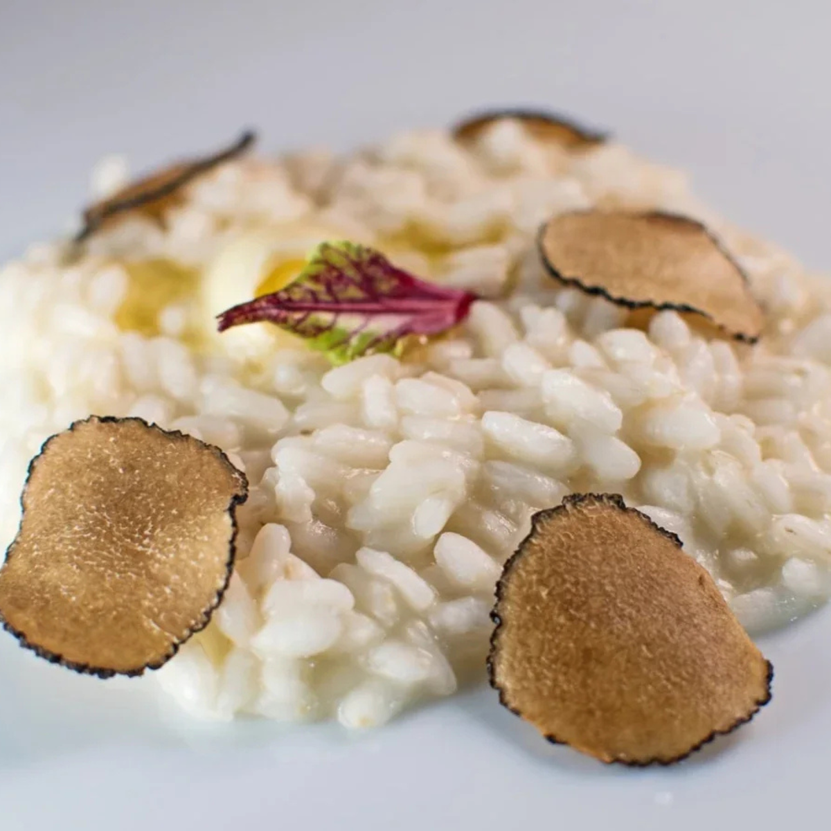 Truffle Risotto, image 2 of 2