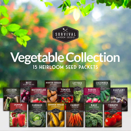 Vegetable Garden Collection - 15 Packs of Vegetable Seeds