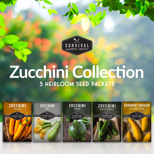 Zucchini & Squash Collection - Golden, Round, Black Beauty, Straight Neck Summer Squash