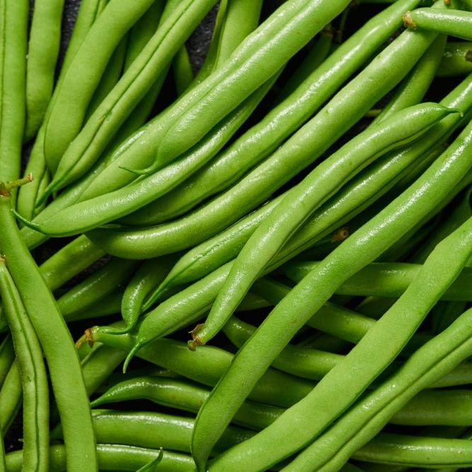 Bean Seeds - Bush - Strike
