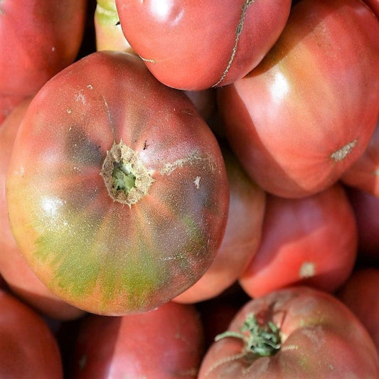 Cherokee Purple Heirloom Tomato Seeds