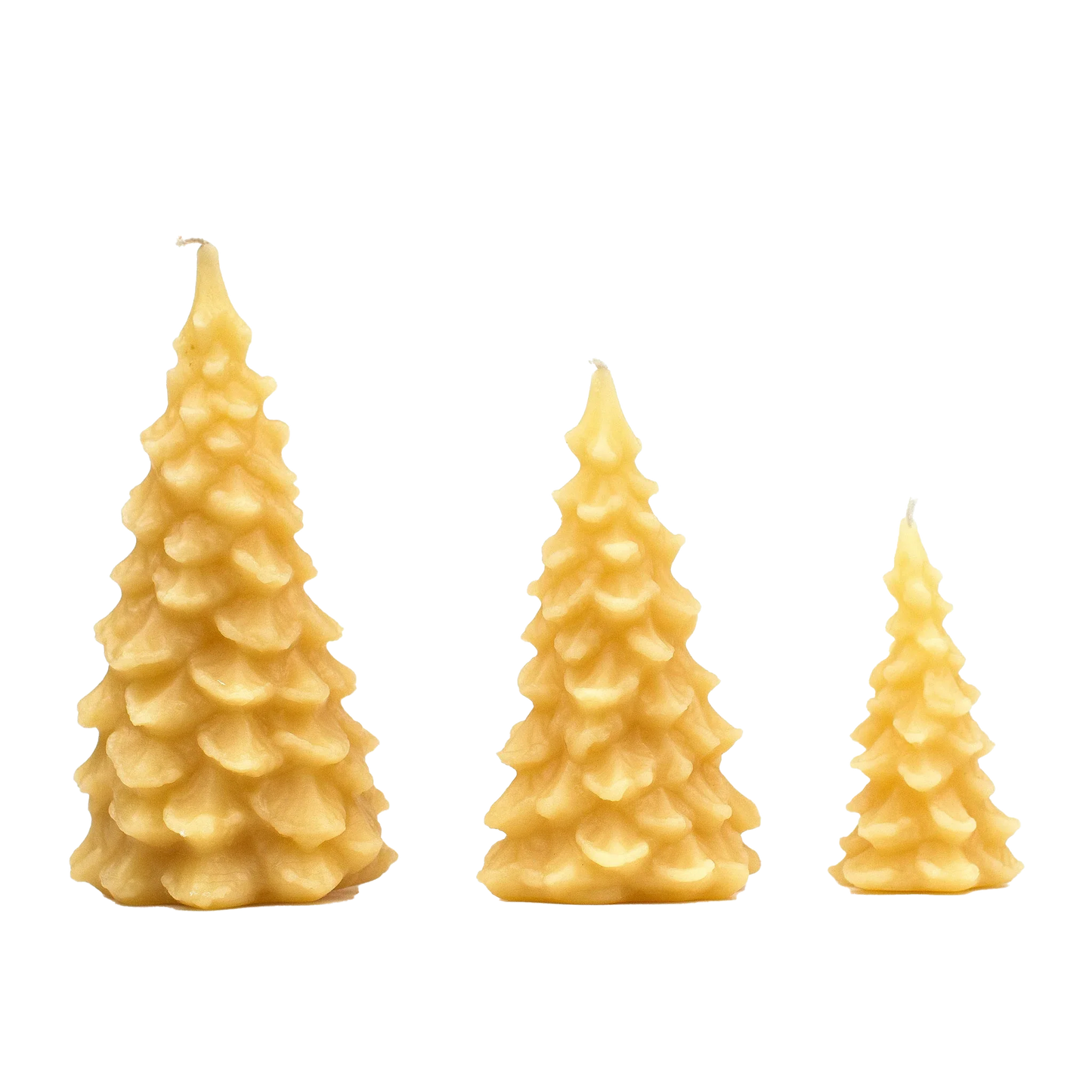Beeswax Christmas Tree Candle