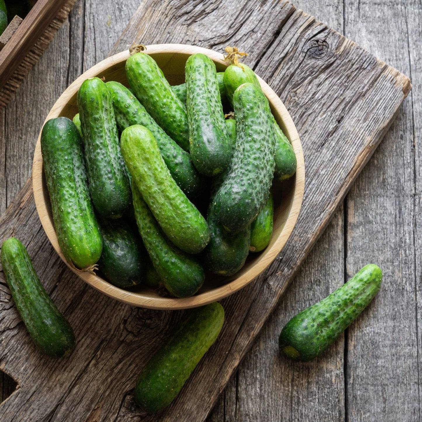 Cucumber Seeds - Bush - Pickling