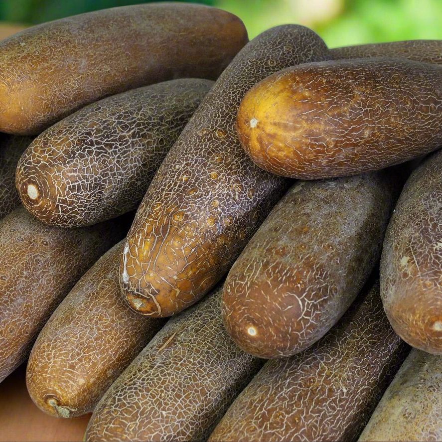 Cucumber Seeds - Vining - Brown Russian