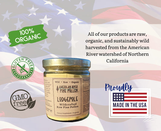 Lodgepole Pine Pollen - Raw and Wild-Harvested