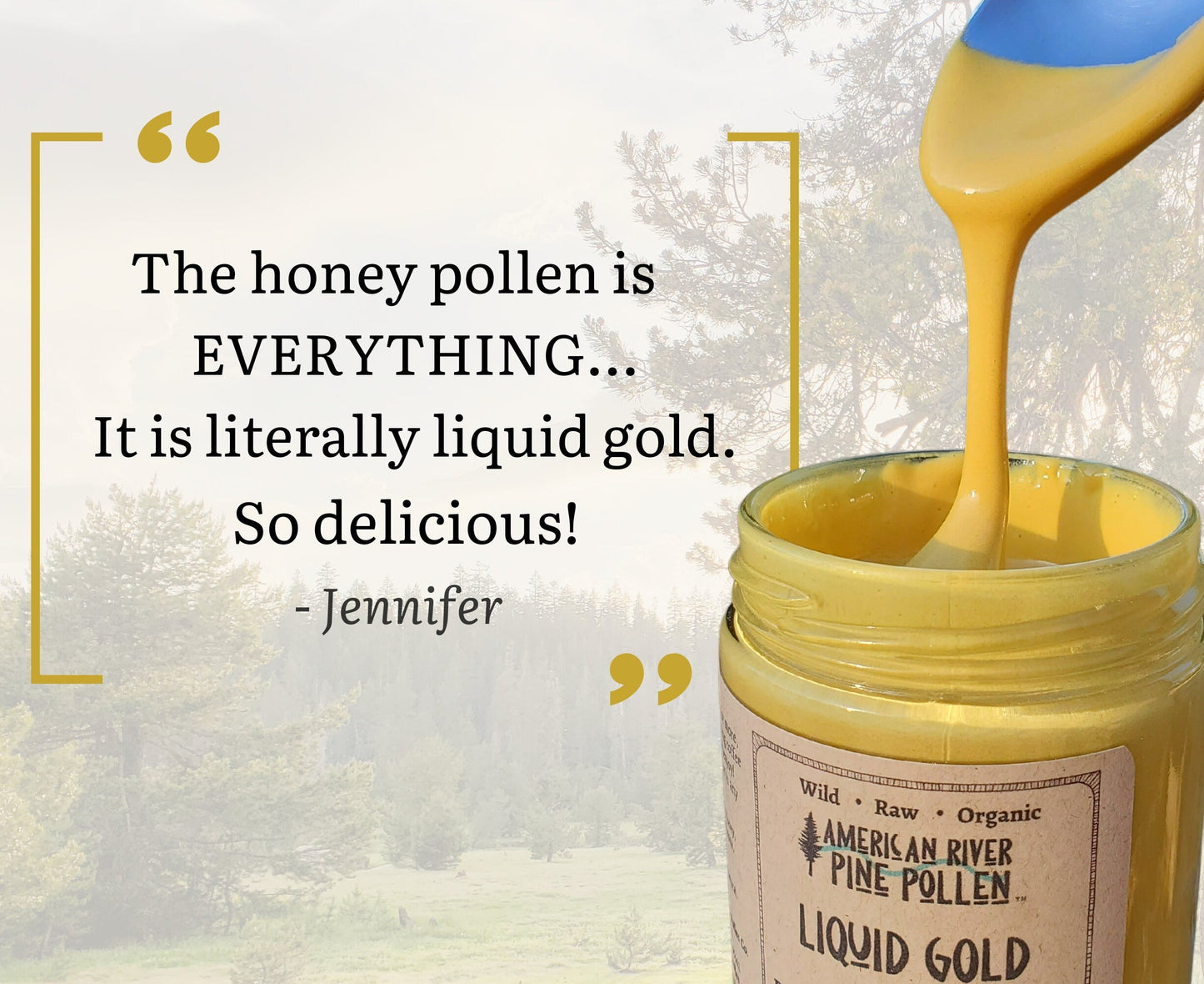 Liquid Gold - Wildcrafted Raw Pine Pollen and Honey - Traditional Blend with Pine Synergy