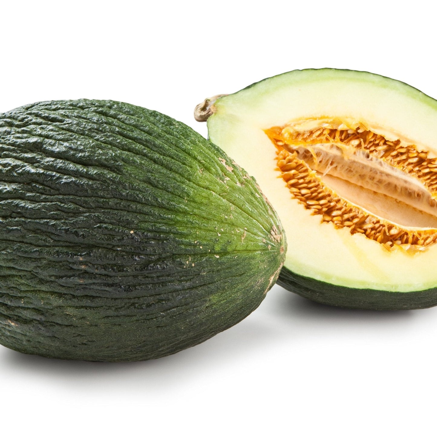 Melon Seeds - Tendral Verde Tardif