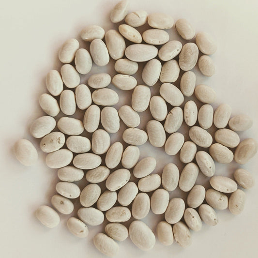 Mountain Half Runner Heirloom Green Bean Seeds