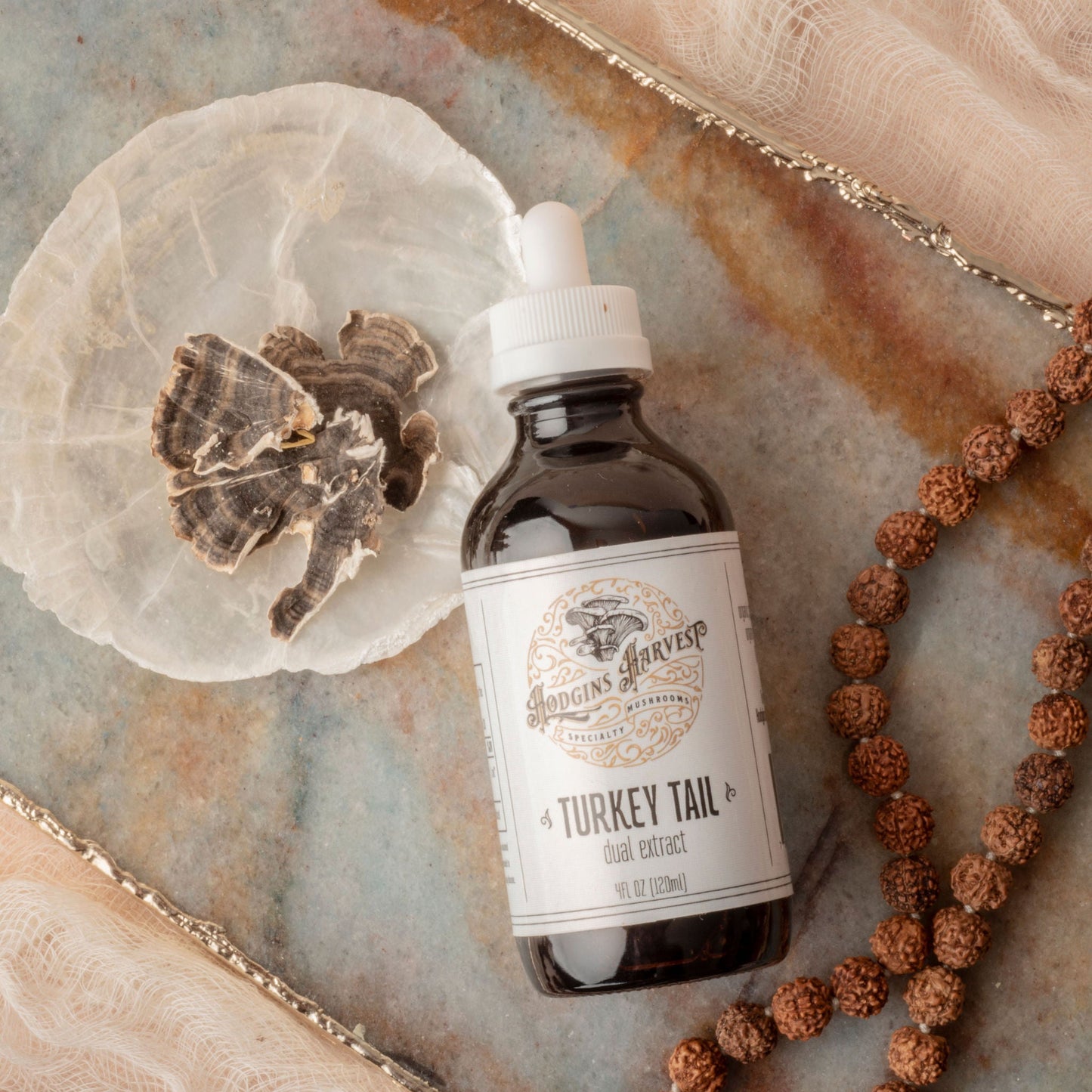Turkey Tail Dual Extract Tincture by Hodgins Harvest